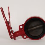 Bray 30 Series Butterfly Valve-Black Seat/Carbon Disk